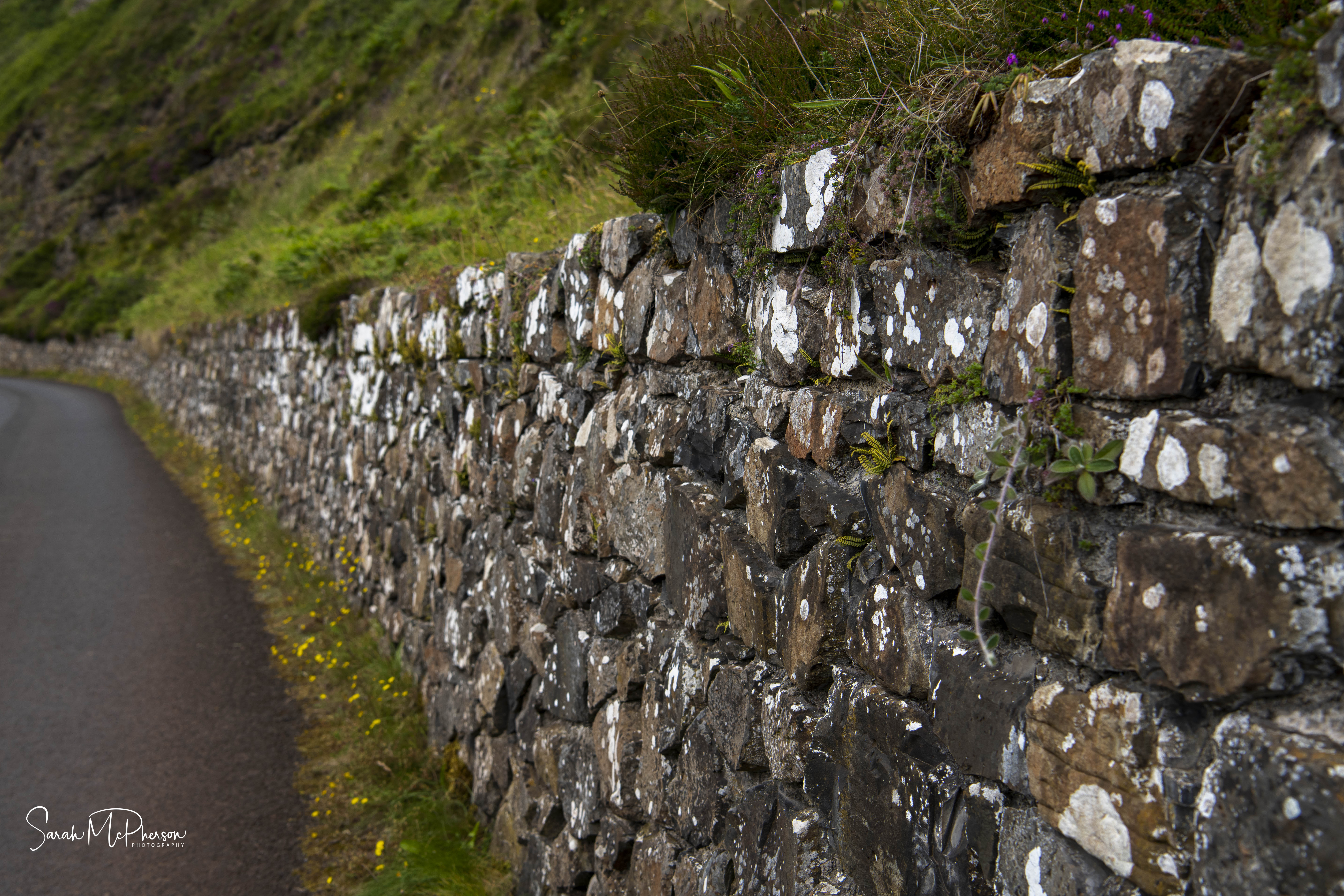 The Path to the Giant Causeway