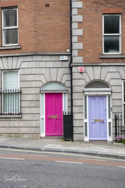 Beautiful doors of Dublin Ireland - Portrait